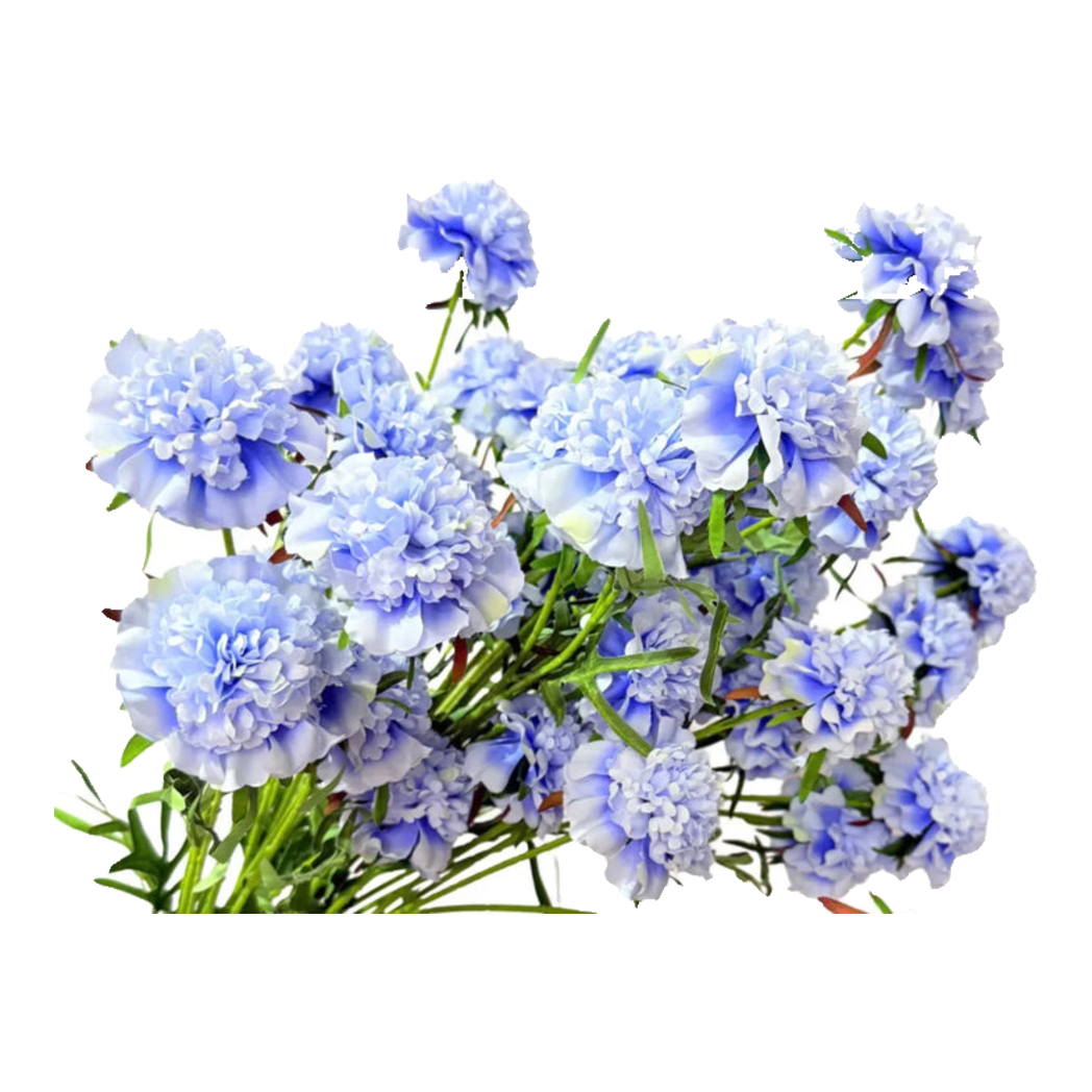 Set 2 Cành Hoa Đông Trùng Hạ Thảo - Sky Blue