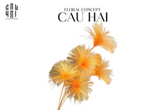 Set 2 Cành Hoa Firework Color Pop-Hoa Lụa-CẬU HAI HOME DECOR