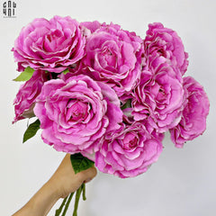 Set 2 Cành Hoa Hồng Ecuador - Tím Hồng-CẬU HAI HOME DECOR