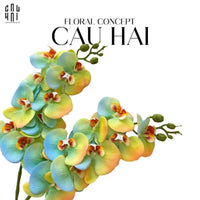 Set 2 Cành Hoa Lan Hồ Điệp - Citrus Turquoise-Hoa Lụa-CẬU HAI HOME DECOR