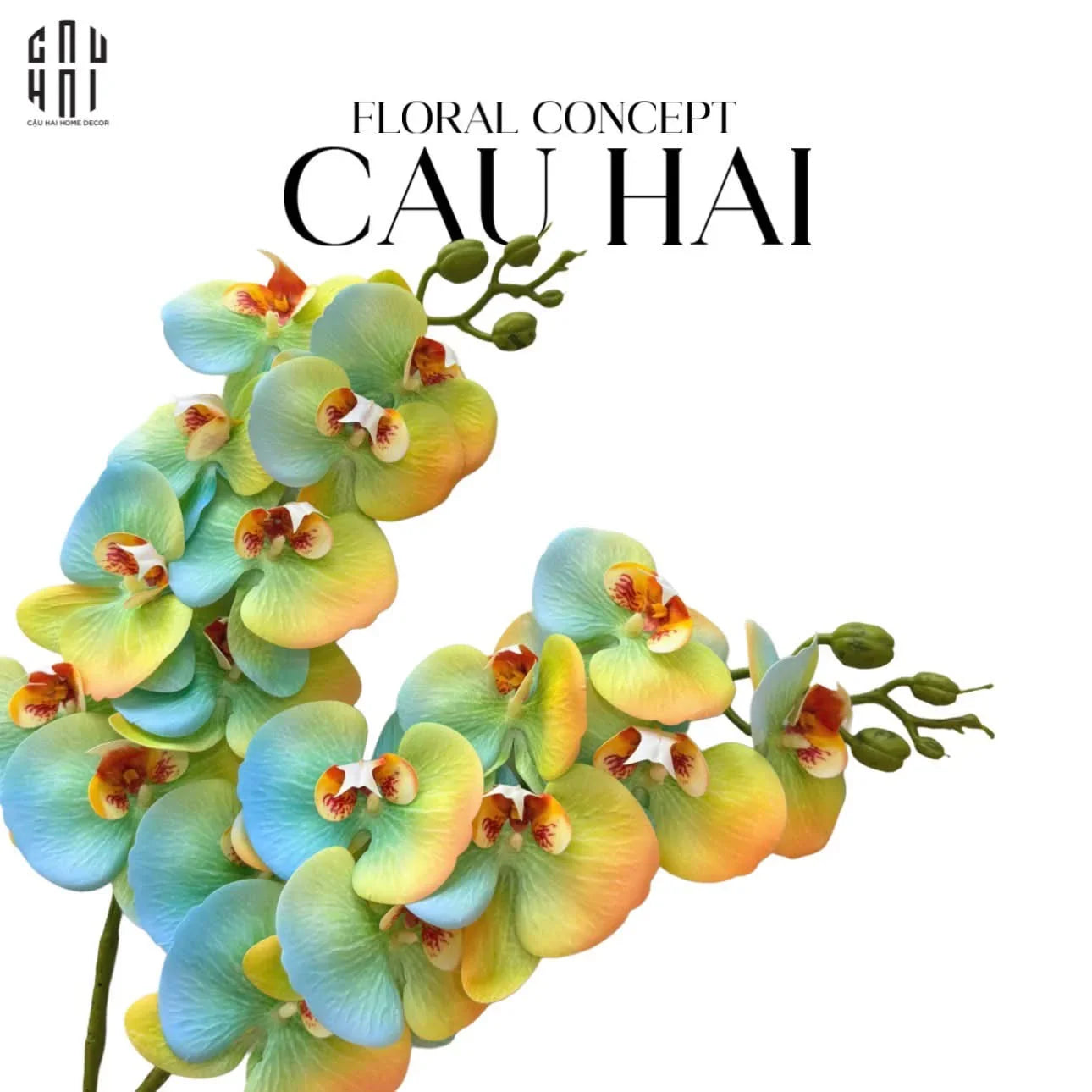 Set 2 Cành Hoa Lan Hồ Điệp - Citrus Turquoise-Hoa Lụa-CẬU HAI HOME DECOR