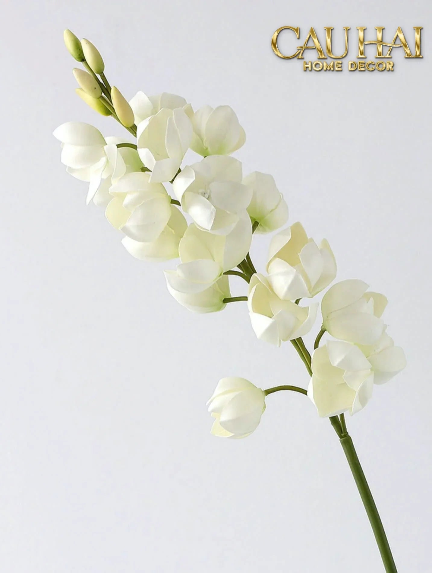 Set 2 Cành Hoa Lan Yucca-Hoa Lụa-CẬU HAI HOME DECOR