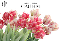 Set 2 Cành Hoa Parrot Tulip Powder Pink / Fuchsia-Hoa Lụa-CẬU HAI HOME DECOR
