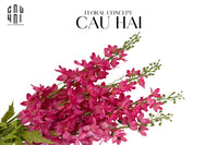 Set 2 Cành Hoa Phi Yến - Viva Magenta-Hoa Lụa-CẬU HAI HOME DECOR