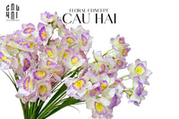 Set 2 Cành Hoa Thuỷ Tiên - Trắng Violet-Hoa Lụa-CẬU HAI HOME DECOR