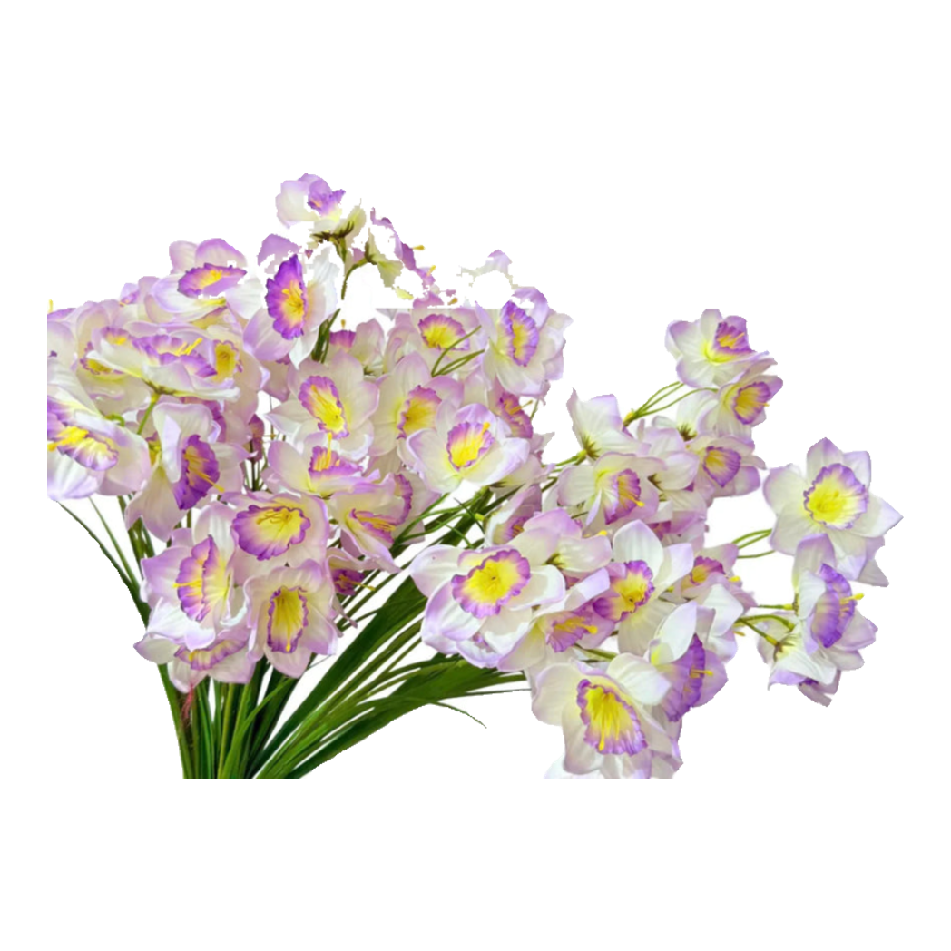 Set 2 Cành Hoa Thuỷ Tiên - Trắng Violet