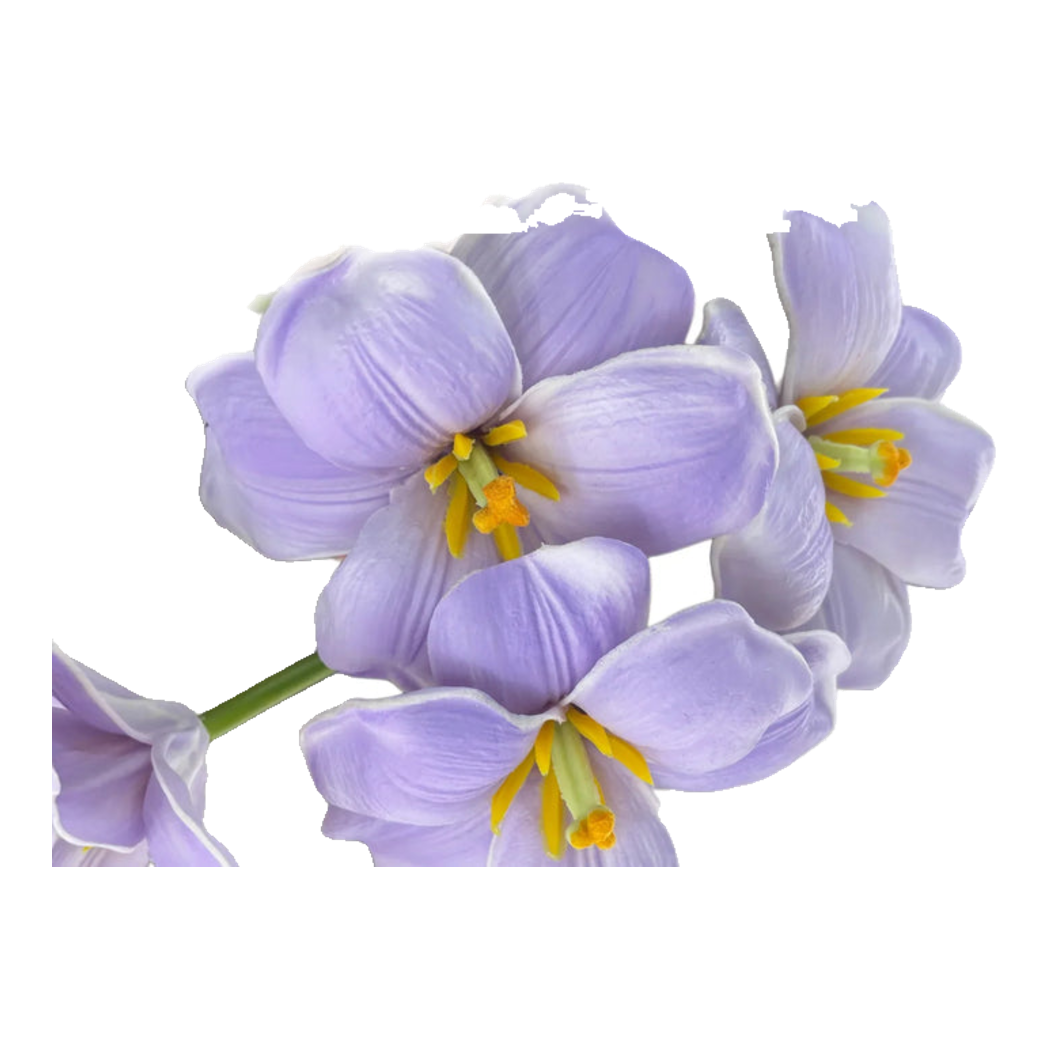 Set 2 Cành Hoa Tulip Blooming Light Purple