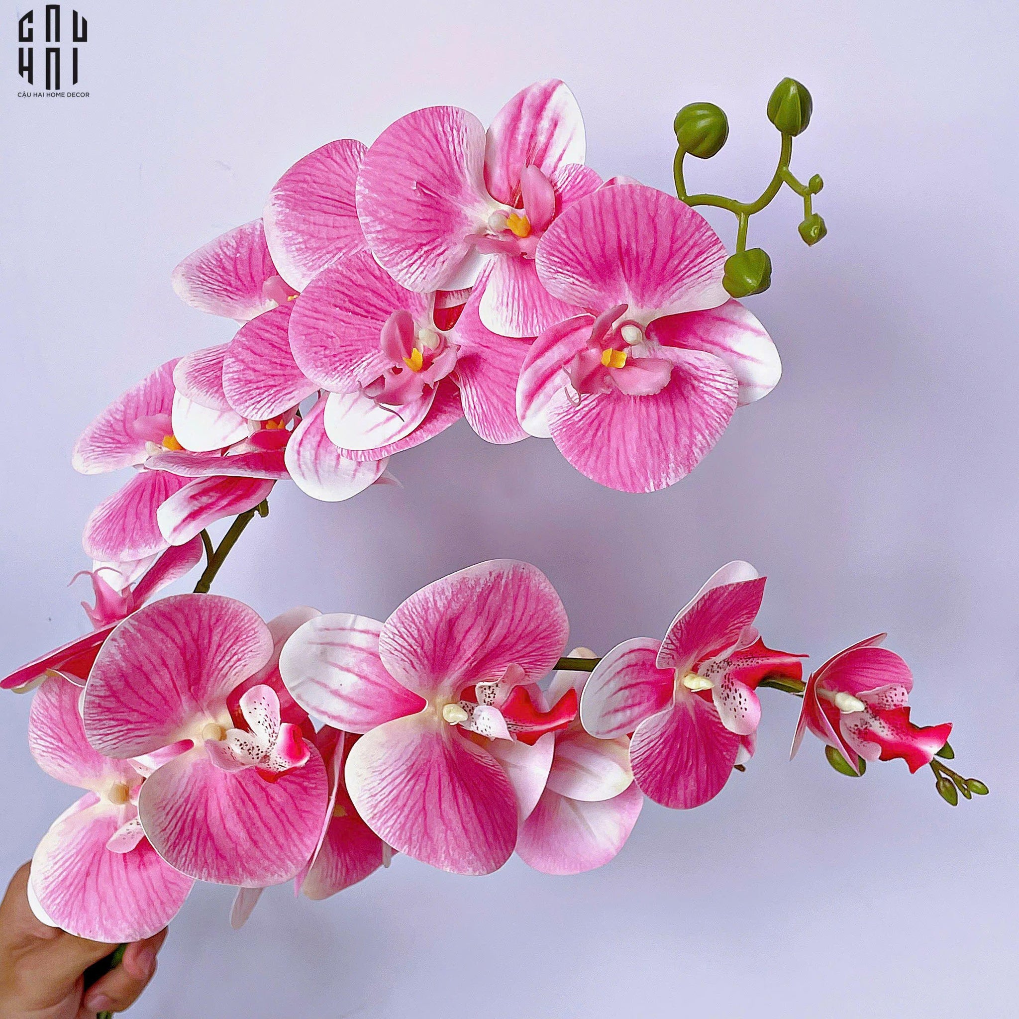 Set 2 Cành Lan Hồ Điệp Bliss Orchids - Hồng Phấn-Hoa Lụa-CẬU HAI HOME DECOR