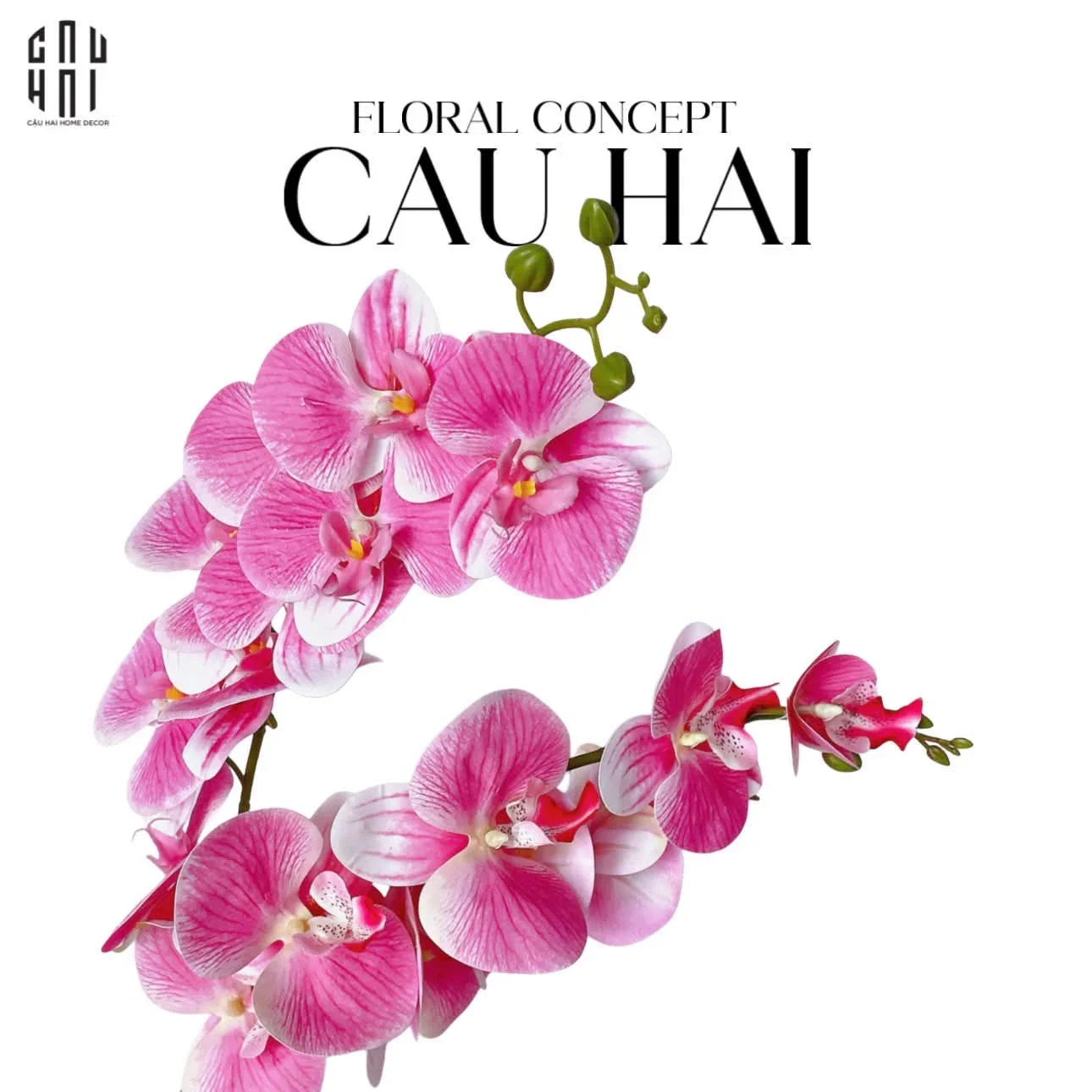 Set 2 Cành Lan Hồ Điệp Bliss Orchids - Hồng Phấn-Hoa Lụa-CẬU HAI HOME DECOR