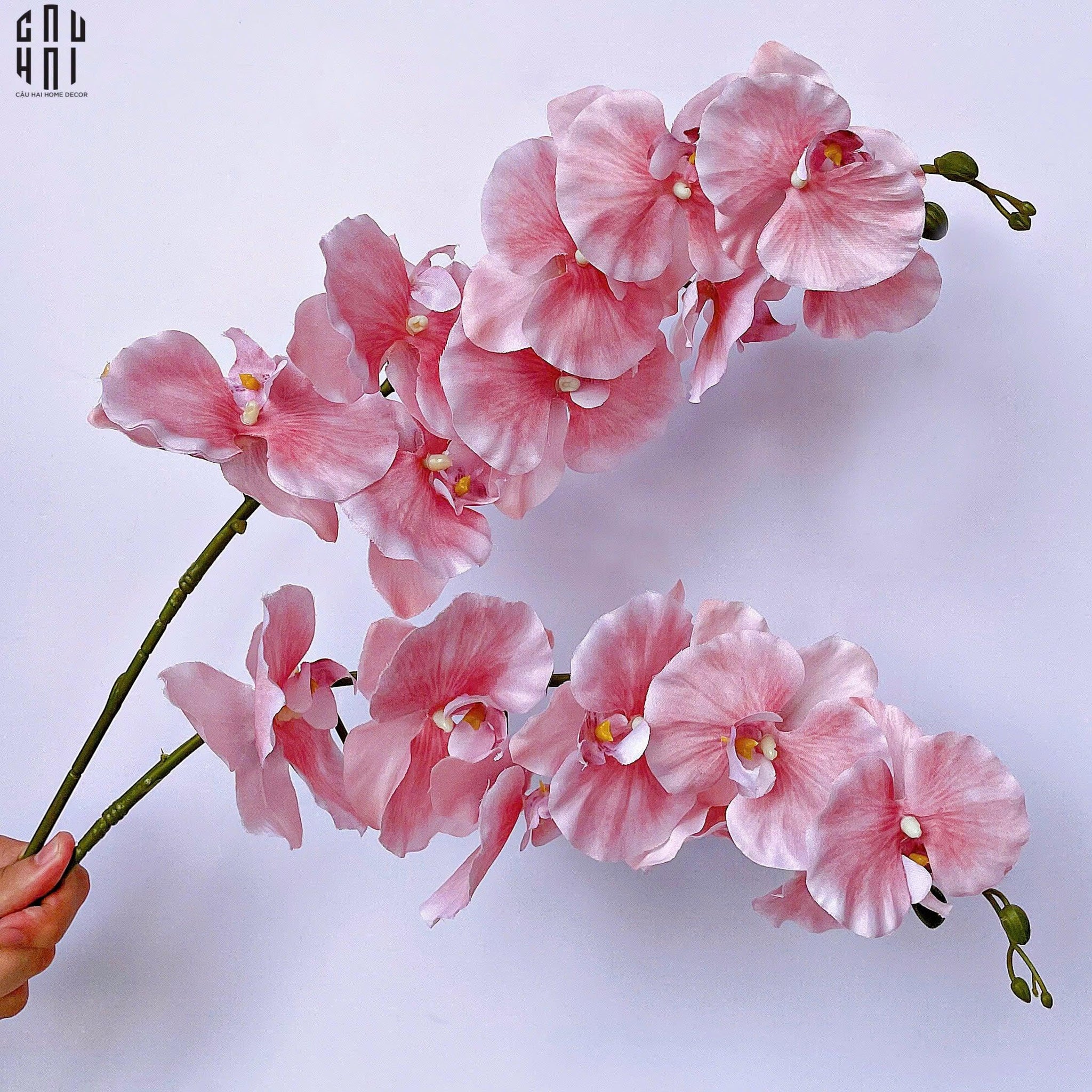 Set 2 Cành Lan Hồ Điệp Cánh Xoăn - Hồng-Hoa Lụa-CẬU HAI HOME DECOR
