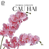 Set 2 Cành Lan Hồ Điệp Cánh Xoăn - Hồng-Hoa Lụa-CẬU HAI HOME DECOR