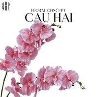 Set 2 Cành Lan Hồ Điệp Cánh Xoăn - Hồng-Hoa Lụa-CẬU HAI HOME DECOR