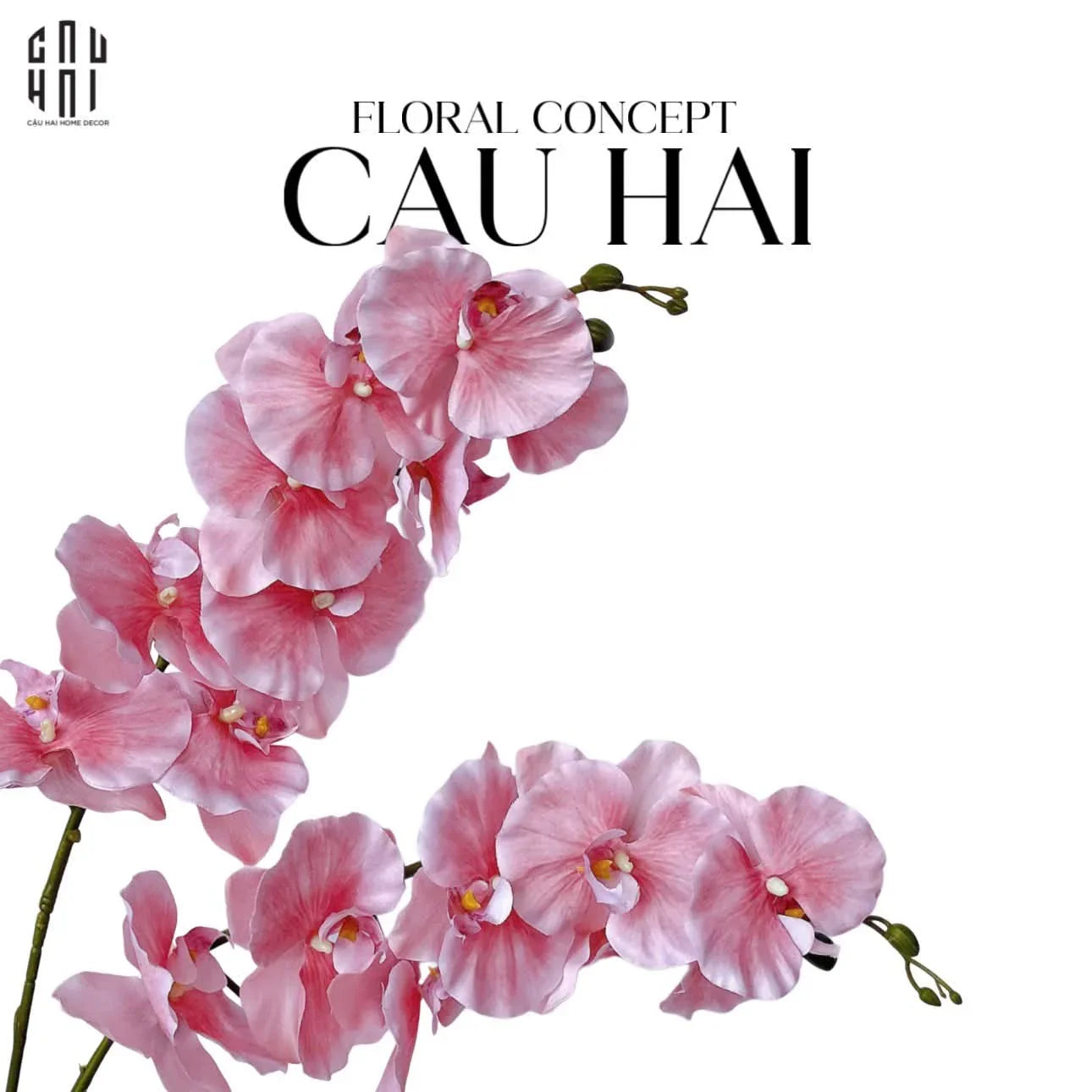 Set 2 Cành Lan Hồ Điệp Cánh Xoăn - Hồng-Hoa Lụa-CẬU HAI HOME DECOR