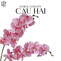 Set 2 Cành Lan Hồ Điệp Cánh Xoăn - Hồng-Hoa Lụa-CẬU HAI HOME DECOR