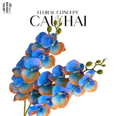 Set 2 Cành Lan Hồ Điệp - Royal Blue Mandarin-Hoa Lụa-CẬU HAI HOME DECOR