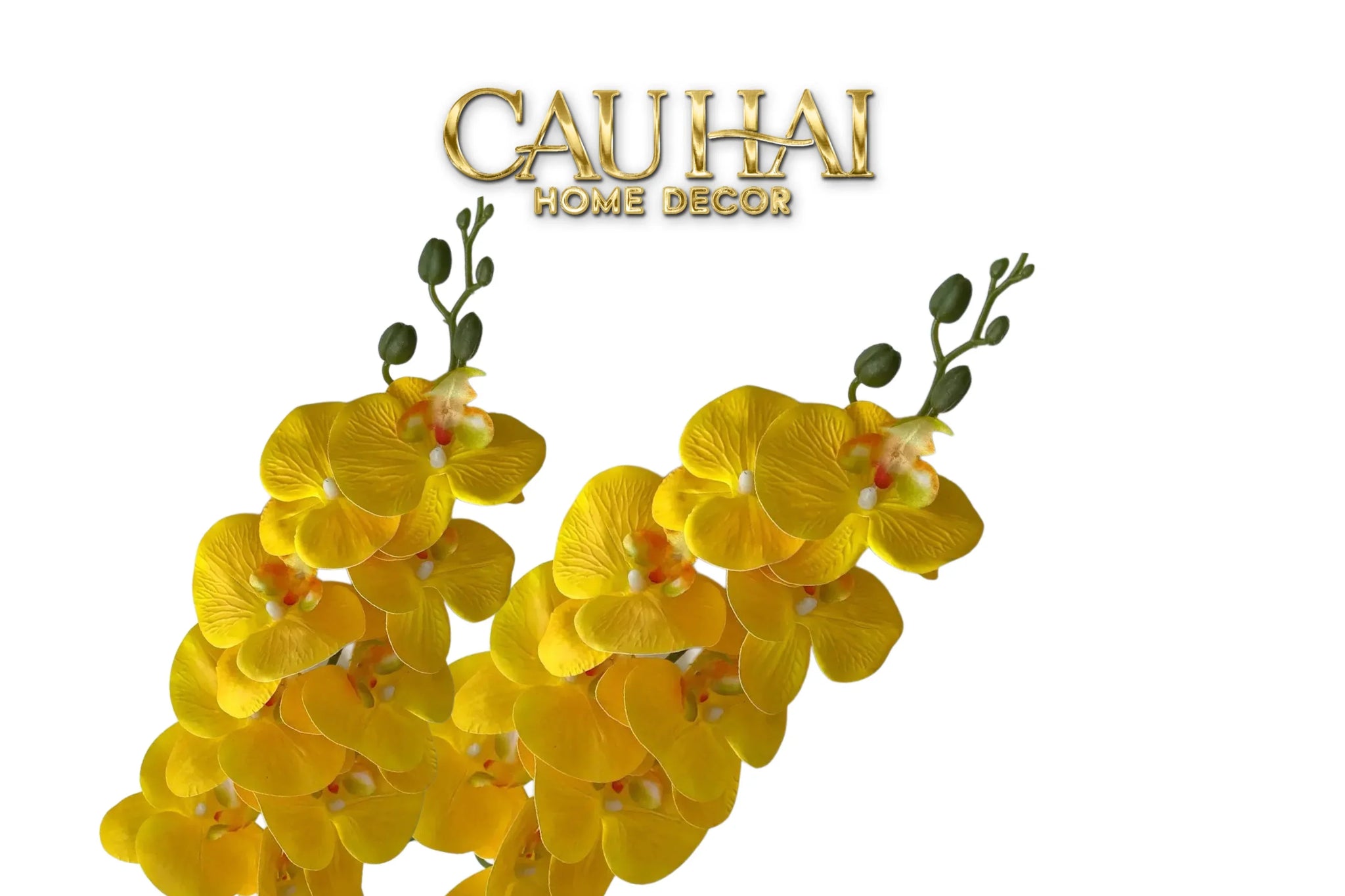 Set 2 Cành Lan Hồ Điệp Royal Phalaenopsis Orchid-Hoa Lụa-CẬU HAI HOME DECOR