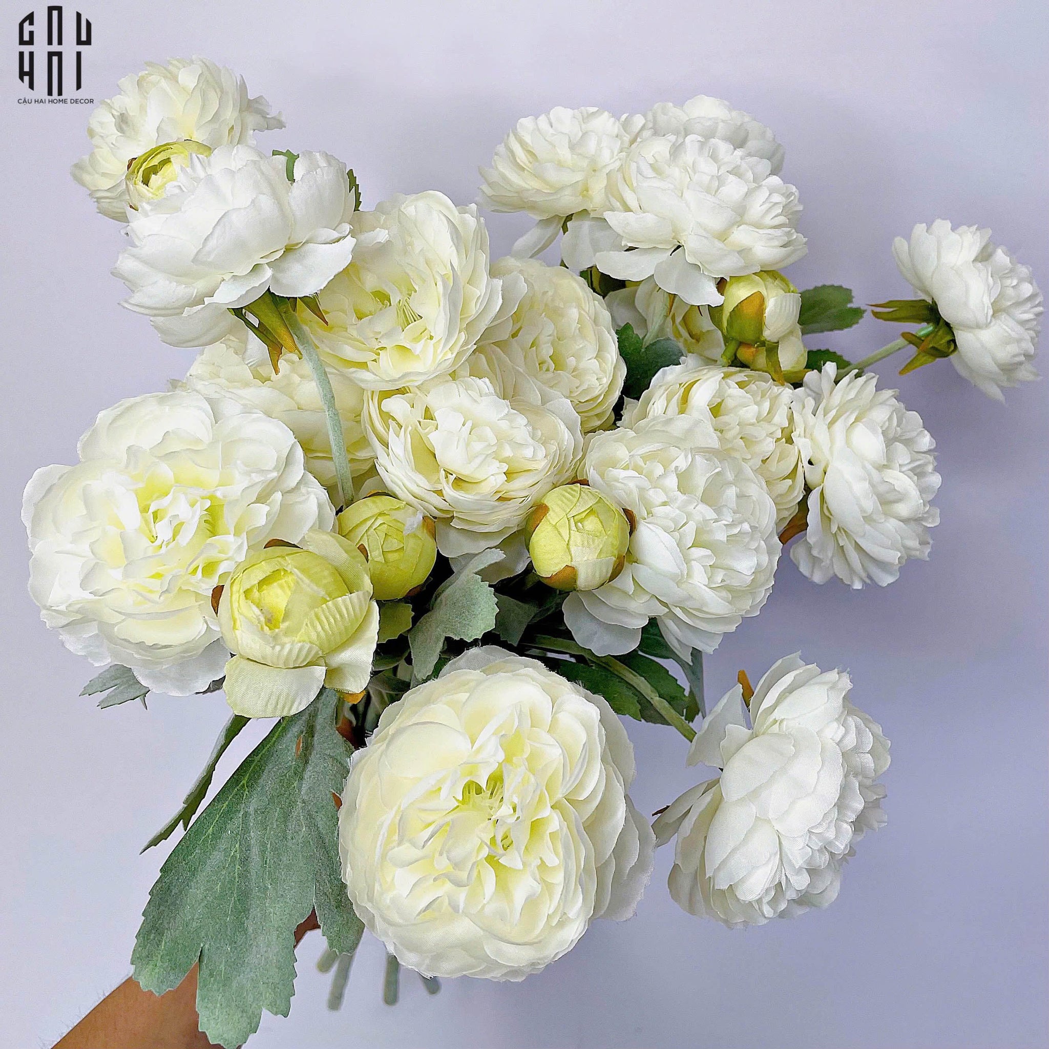 Set 2 Cành Mao Lương Ranunculus - Trắng-Hoa Lụa-CẬU HAI HOME DECOR