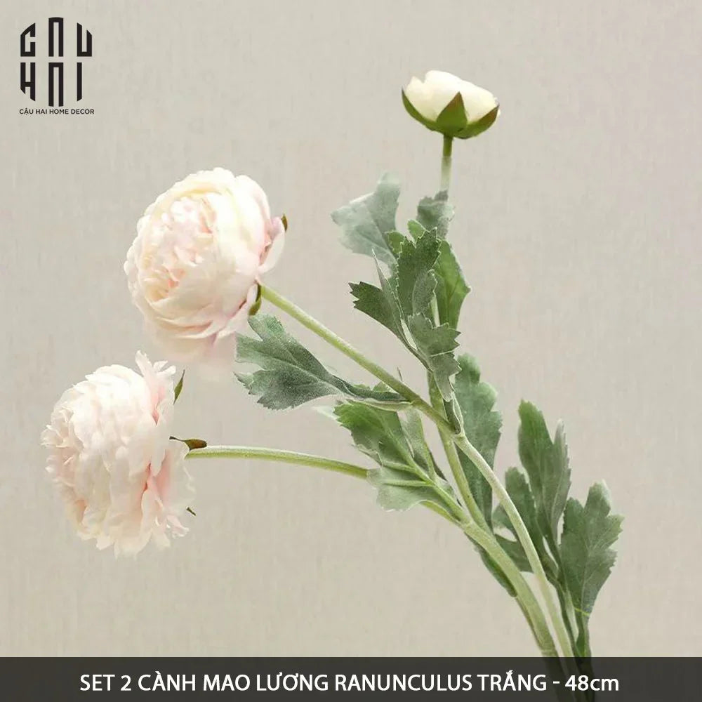 Set 2 Cành Mao Lương Ranunculus - Trắng-Hoa Lụa-CẬU HAI HOME DECOR