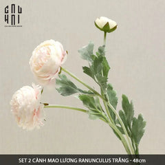 Set 2 Cành Mao Lương Ranunculus - Trắng-Hoa Lụa-CẬU HAI HOME DECOR