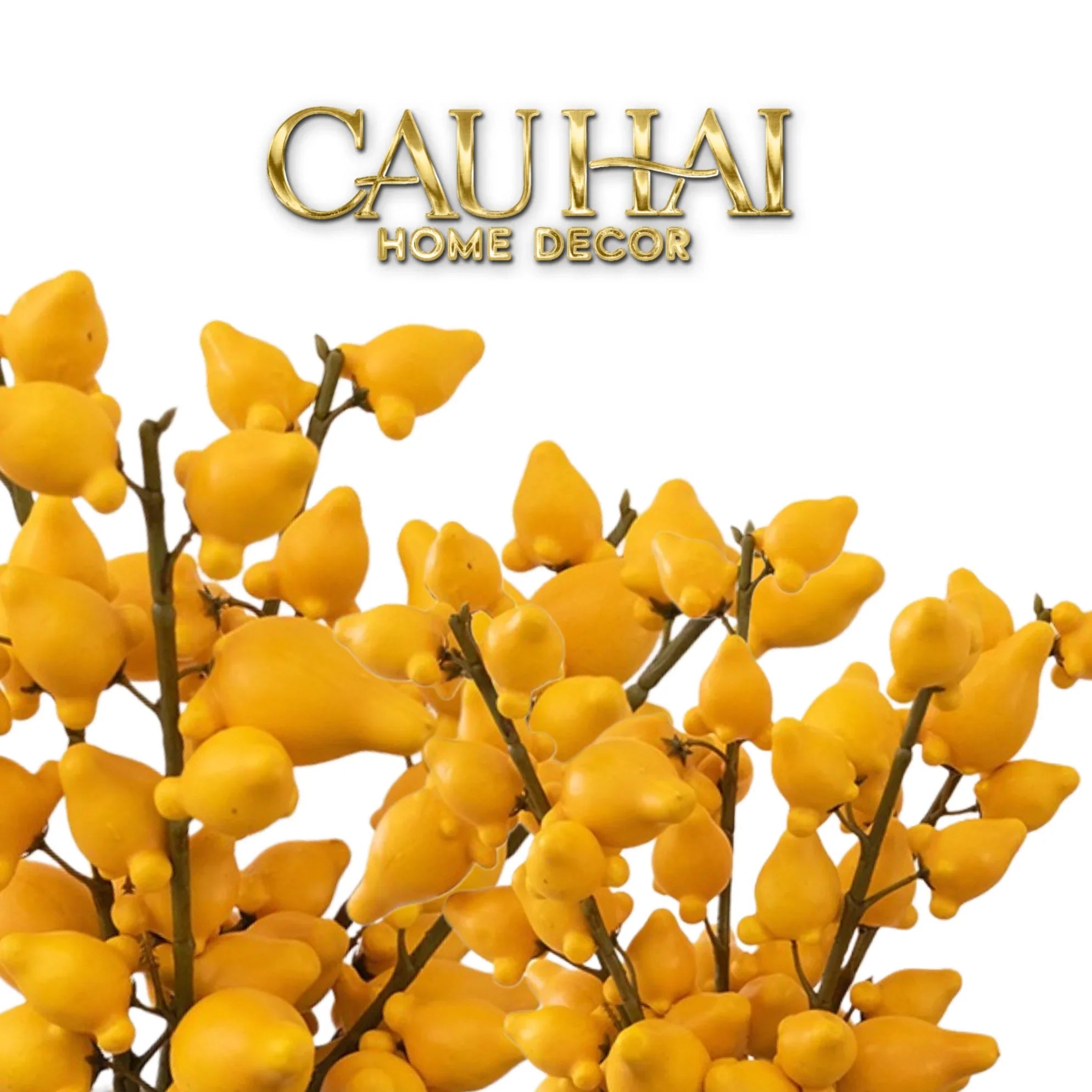 Set 2 Cành Trái Dư – Dried Berry Branches-CẬU HAI HOME DECOR