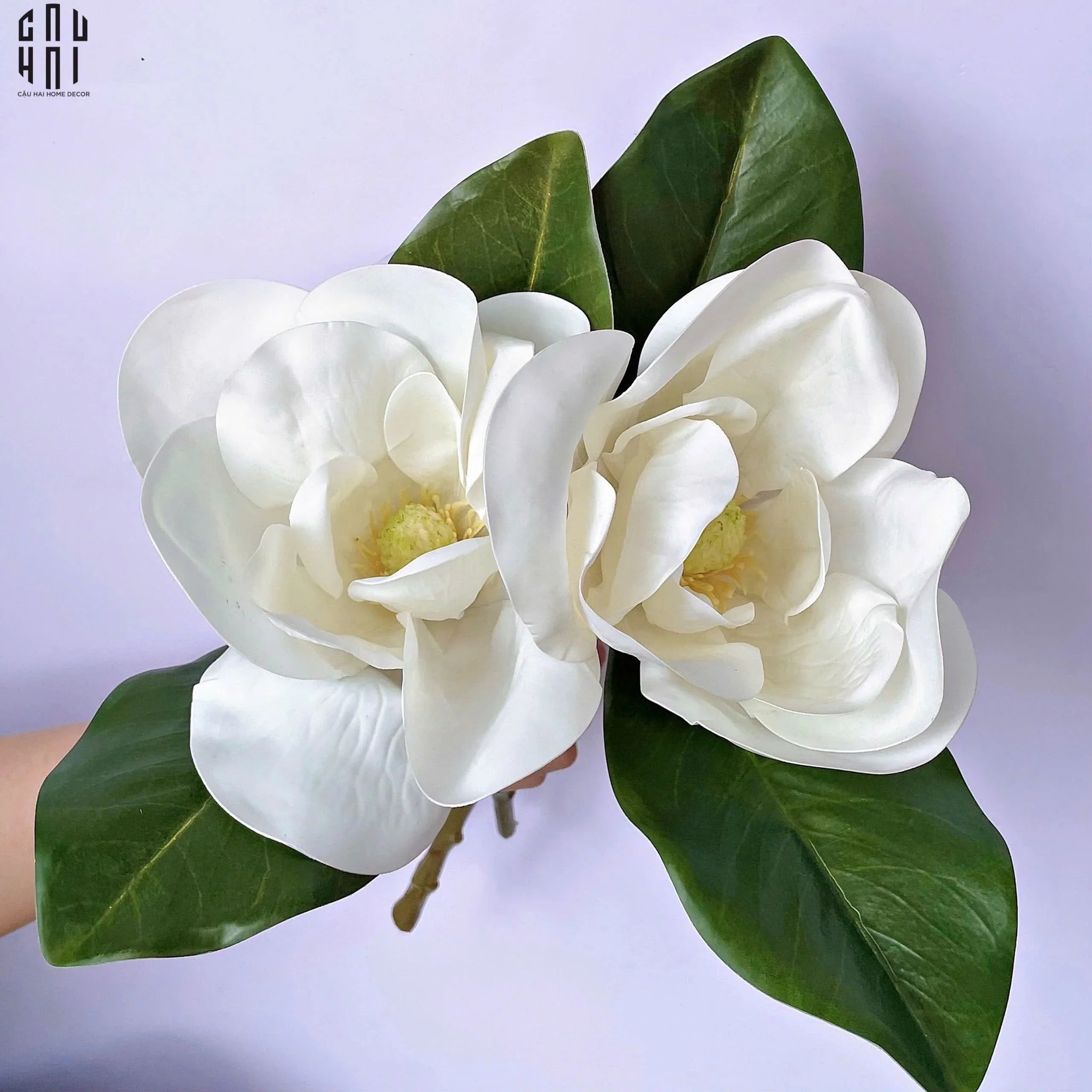 Set 2 Hoa Mộc Lan Trắng - Magnolia Grandiflora-TƯỢNG TRANG TRÍ-CẬU HAI HOME DECOR