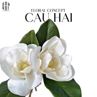 Set 2 Hoa Mộc Lan Trắng - Magnolia Grandiflora-TƯỢNG TRANG TRÍ-CẬU HAI HOME DECOR