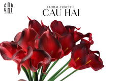 Set 5 Cành Calla Lily Flame / Sky Blue-LY THỦY TINH-CẬU HAI HOME DECOR