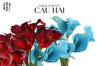 Set 5 Cành Calla Lily Flame / Sky Blue-LY THỦY TINH-CẬU HAI HOME DECOR