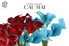 Set 5 Cành Calla Lily Flame / Sky Blue-LY THỦY TINH-CẬU HAI HOME DECOR