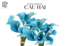 Set 5 Cành Calla Lily Flame / Sky Blue-LY THỦY TINH-CẬU HAI HOME DECOR
