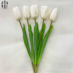 Set 5 Cành Hoa Tulip Trắng 46Cm-Hoa Lụa-CẬU HAI HOME DECOR
