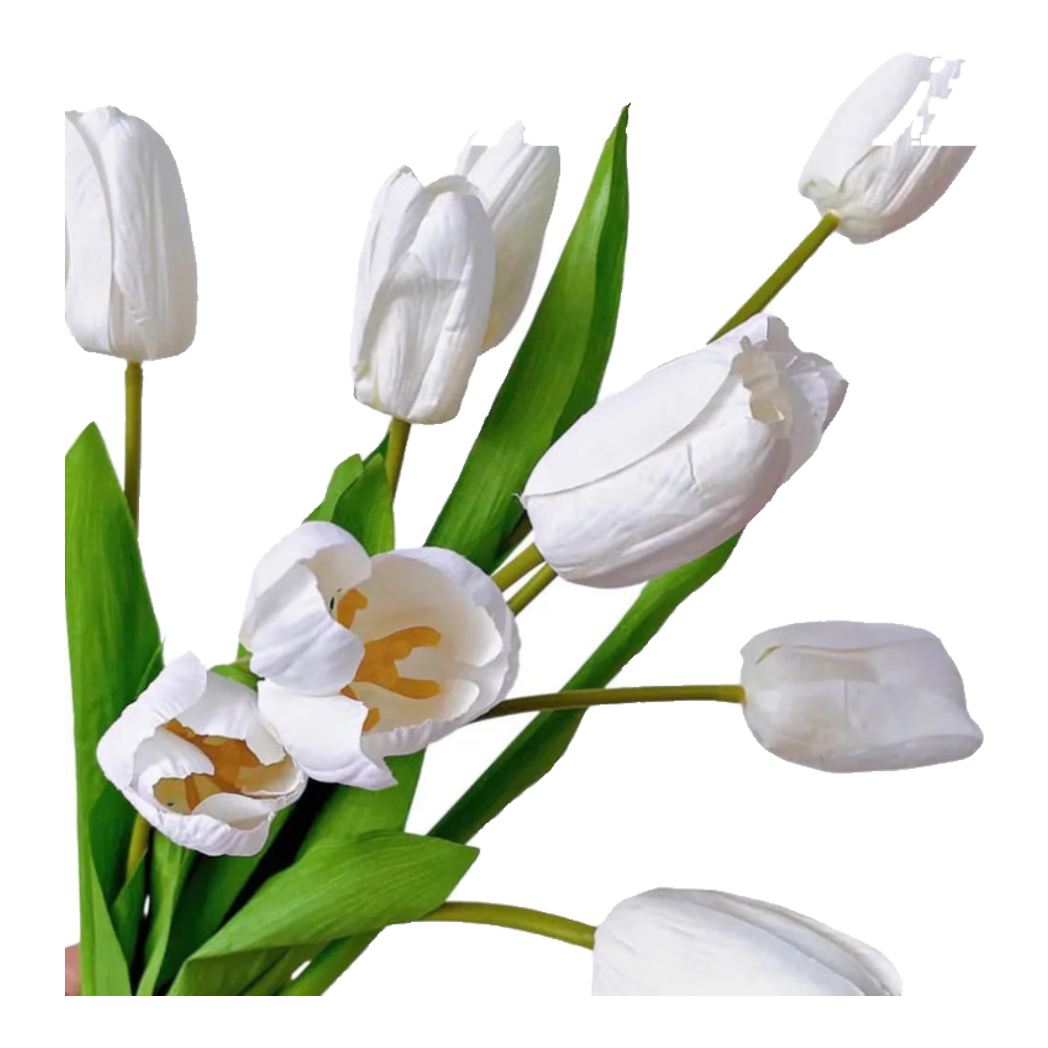 Set 5 Cành Hoa Tulip Trắng 46Cm
