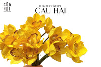 Set 5 Hoa Địa Lan - Canary-CẬU HAI HOME DECOR