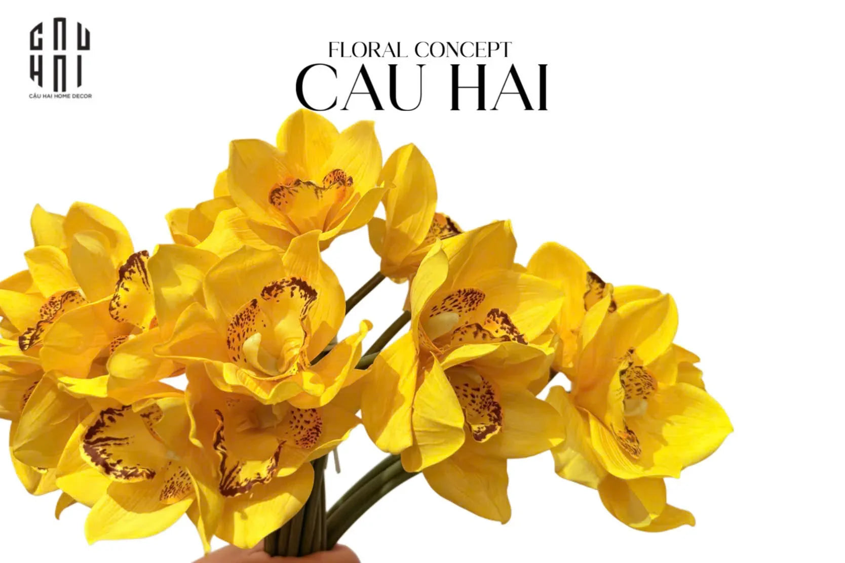Set 5 Hoa Địa Lan - Canary-TƯỢNG TRANG TRÍ-CẬU HAI HOME DECOR