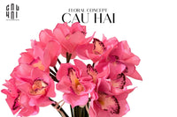 Set 5 Hoa Địa Lan - Hot Pink-TƯỢNG TRANG TRÍ-CẬU HAI HOME DECOR