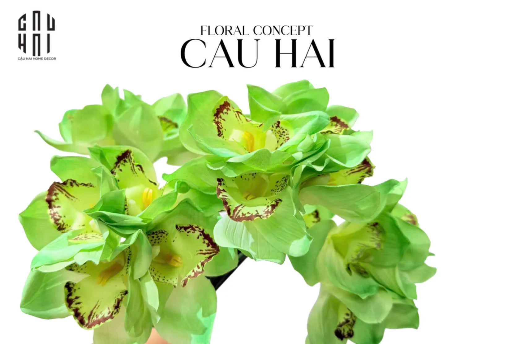 Set 5 Hoa Địa Lan - Kelly Green-LY THỦY TINH-CẬU HAI HOME DECOR