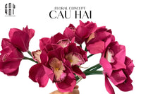 Set 5 Hoa Địa Lan - Magenta-TƯỢNG TRANG TRÍ-CẬU HAI HOME DECOR