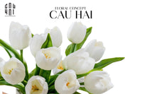 Set 5 Hoa Tulip Milk Grace-Hoa Lụa-CẬU HAI HOME DECOR