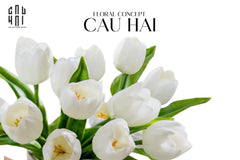 Set 5 Hoa Tulip Milk Grace-Hoa Lụa-CẬU HAI HOME DECOR