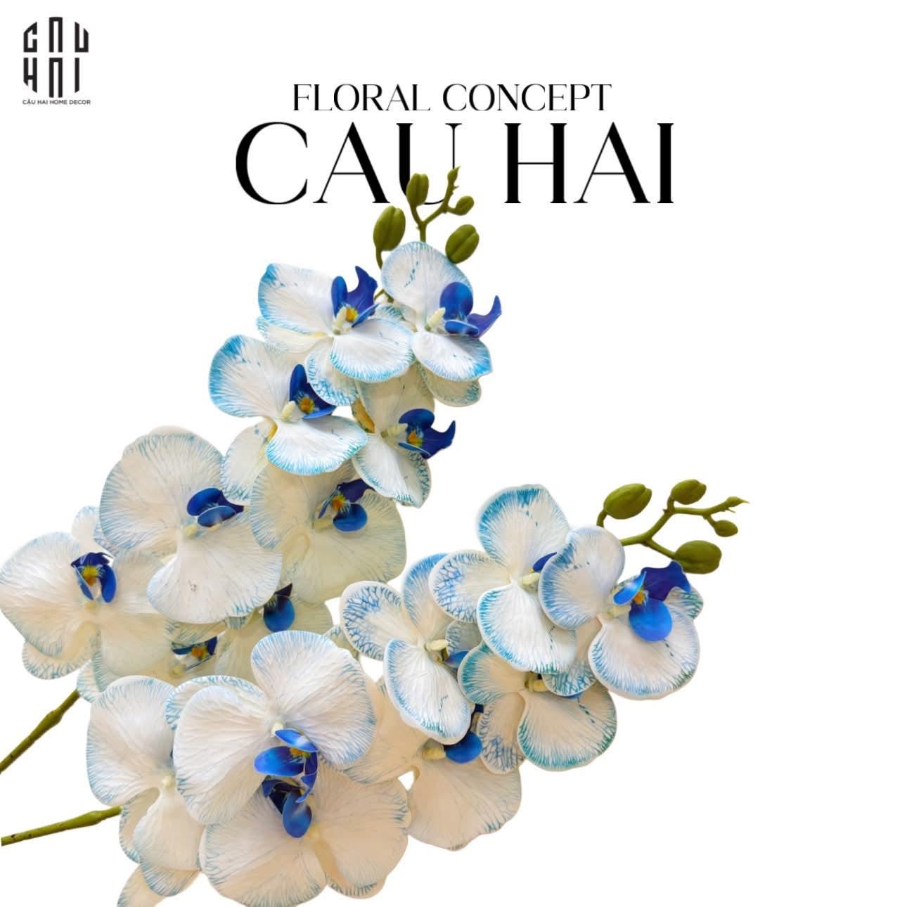 Tết Couture - Set 2 Cành Hoa Lan Hồ Điệp - Snow White-Hoa Lụa-CẬU HAI HOME DECOR