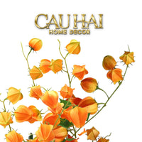 Tết Couture - Set 2 Cành Trái Tầm Bóp Physalis Amberfruit 85cm-Hoa Lụa-CẬU HAI HOME DECOR