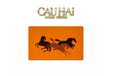 Thảm Cửa Thảm Bathroom 60x90 45D Foam Core Nappa Gen9 - Triptyque Stallions Terra H Class-Thảm cửa / bathroom-CẬU HAI HOME DECOR