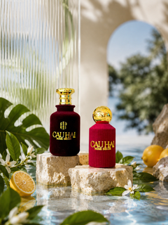 The Signature Home Scent - Maison Privée No.01 - Météore Grande-CẬU HAI HOME DECOR