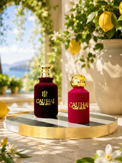 The Signature Home Scent - Maison Privée No.01 - Météore Grande-CẬU HAI HOME DECOR