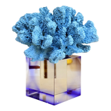 Tượng San Hô Đại Dương Blue Cristalleries Nautical Azure Coral Sculptures 15x20-TƯỢNG TRANG TRÍ-CẬU HAI HOME DECOR-CẬU HAI HOME DECOR