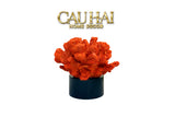 Tượng San Hô Lửa Đế Pha Lê Crimson Cristalleries Coral Sculptures 15x20-TƯỢNG TRANG TRÍ-CẬU HAI HOME DECOR
