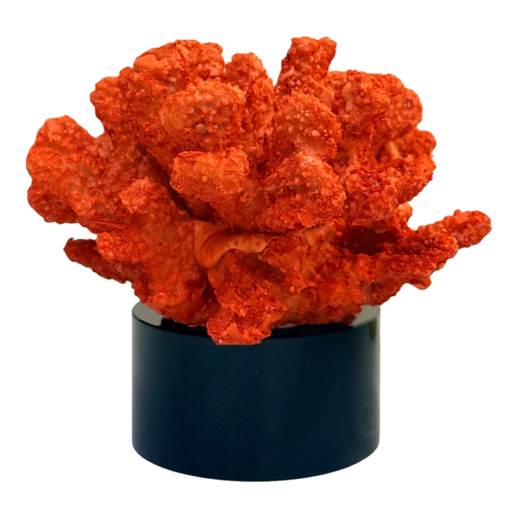 Tượng San Hô Lửa Đế Pha Lê Crimson Cristalleries Coral Sculptures 15x20