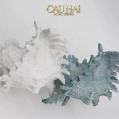 Tượng Vỏ Ốc Azure Moonlight Oceania Spirit 13x17-TƯỢNG TRANG TRÍ-CẬU HAI HOME DECOR